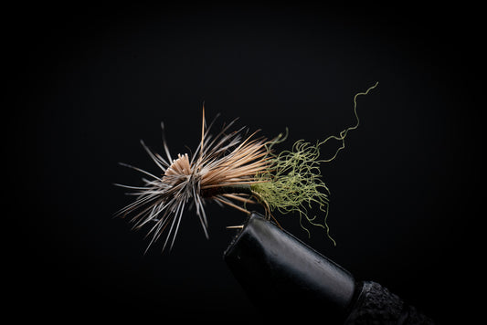 Caddis, EC Olive