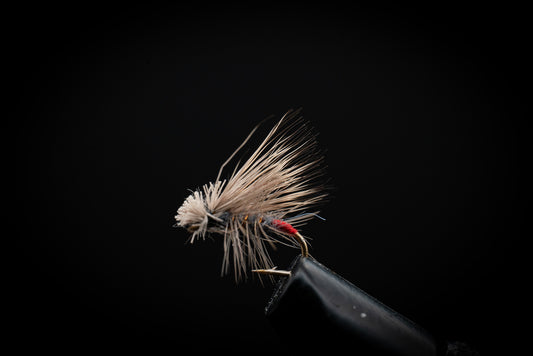 Caddis, Elk Hair Female