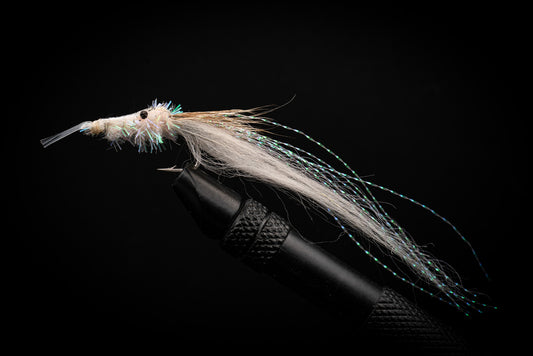 Ghost Shrimp
