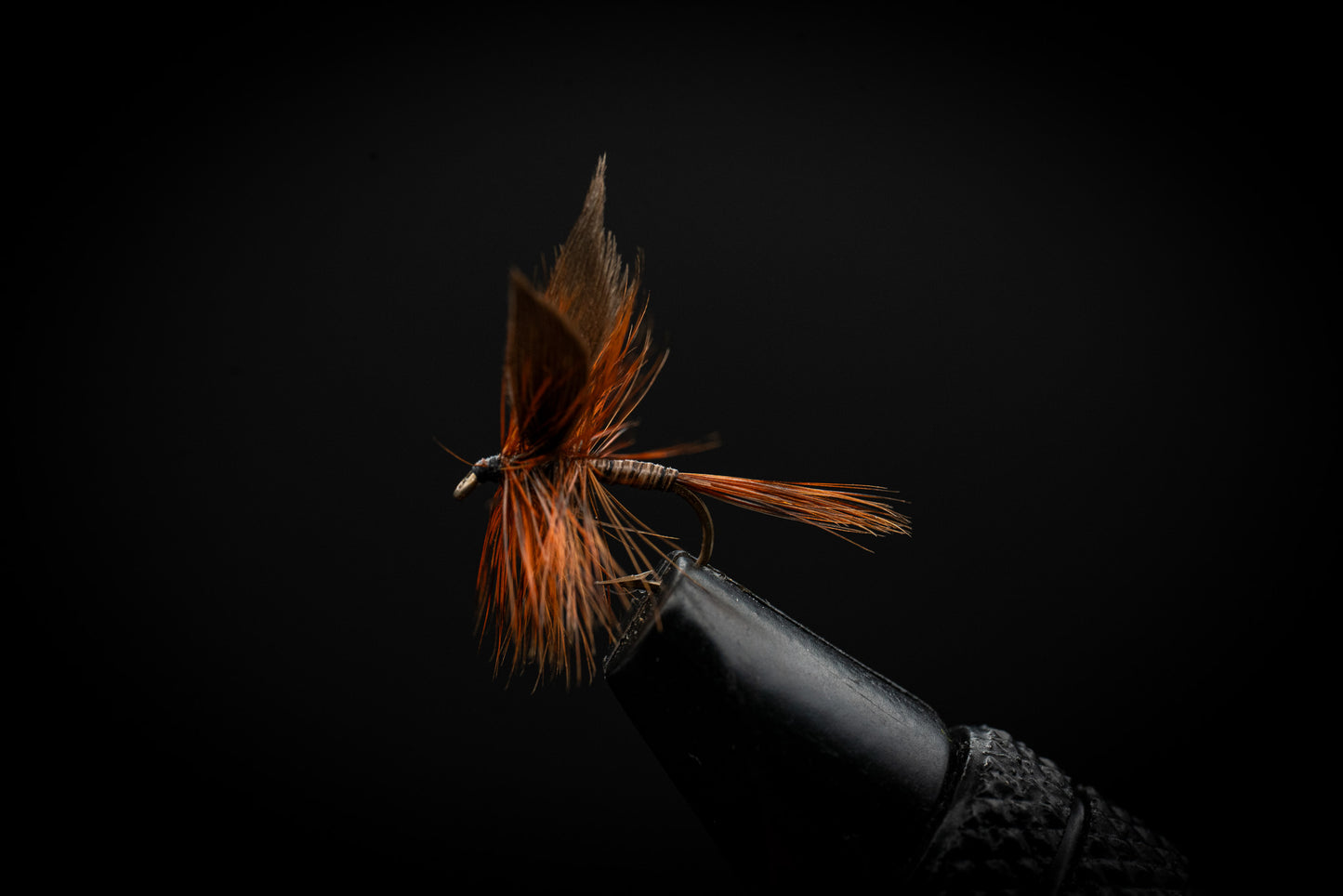 Ginger Quill, Dark