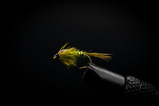 Green Drake