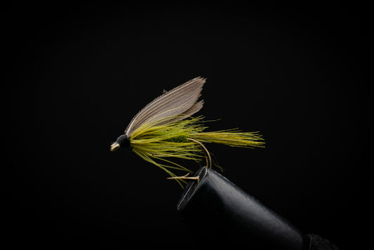 Green Drake Wet