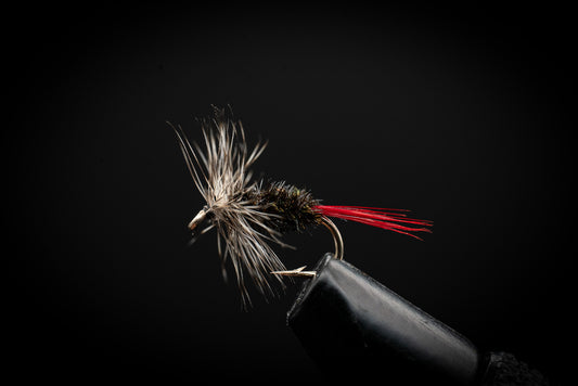 Grizzly Hackle, Peacock