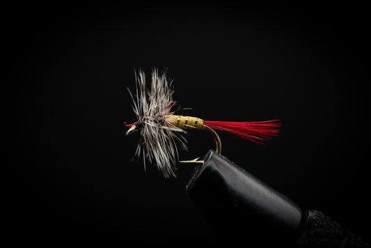Grizzly Hackle, Yellow