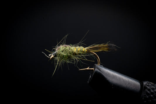 Hare's Ear Olive