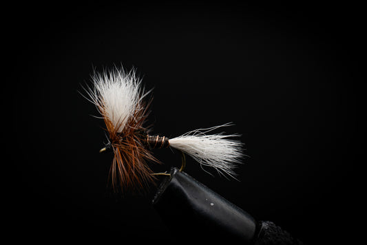 H&L Varient
