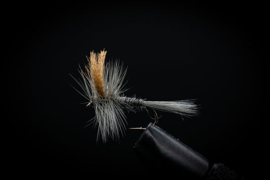 Hendrickson, Dark