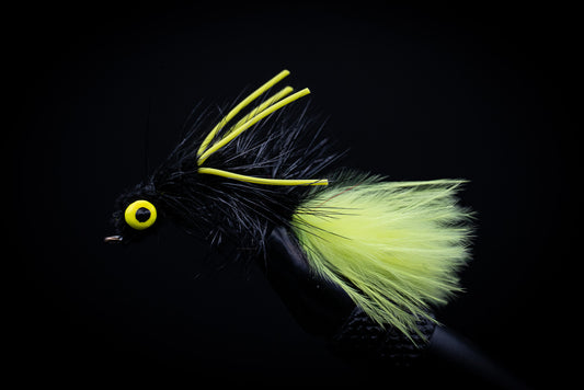 Humpback