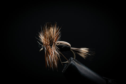Humpy, Black
