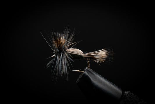Humpy, Olive