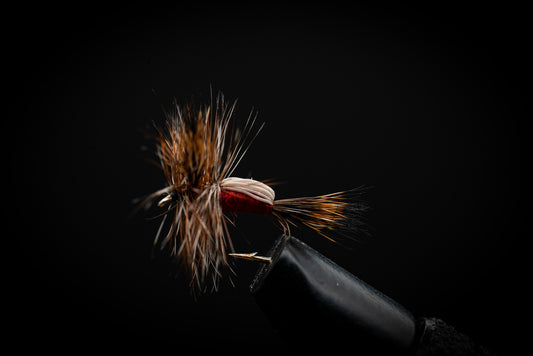 Humpy, Red