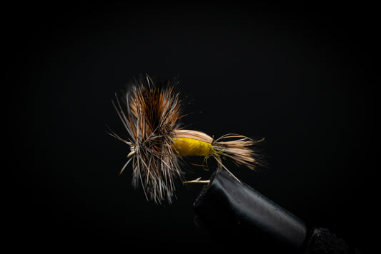Humpy, Yellow