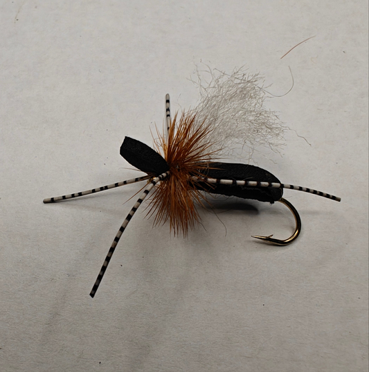 San Juan River Ant