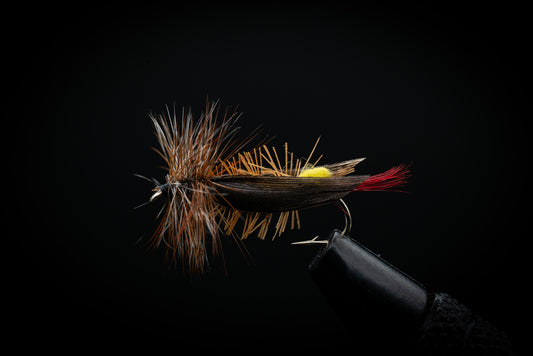 Hopper Joe's Yellow