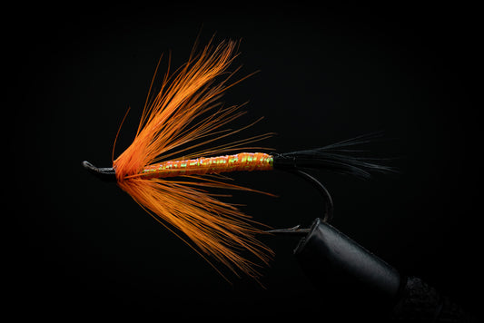Lantern Orange