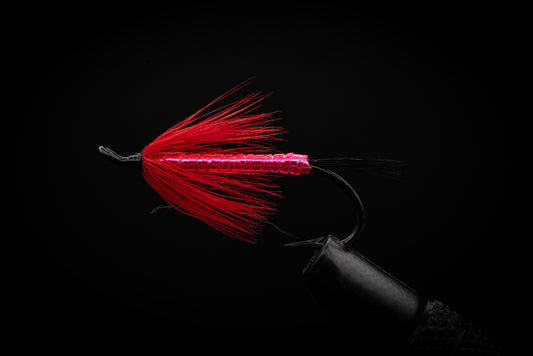 Lantern Pink