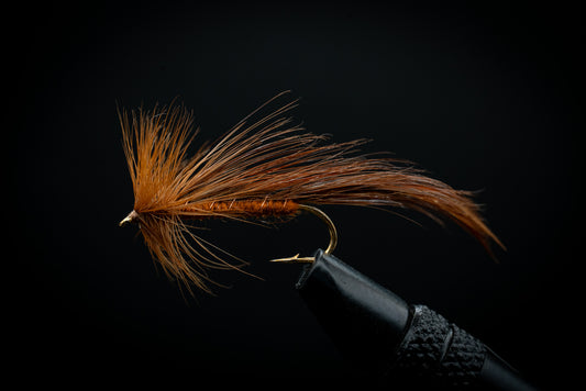 Light Brown