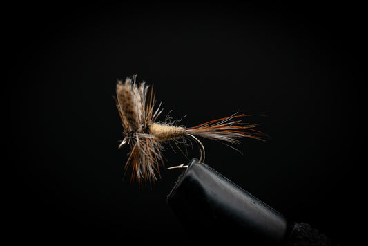 March Brown
