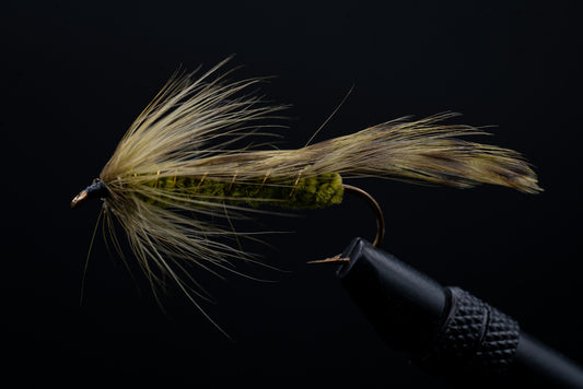 Matuka Olive