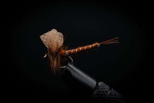 Mayfly, Brown