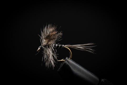 Mosquito