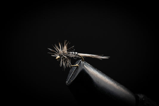 Mosquito Midge
