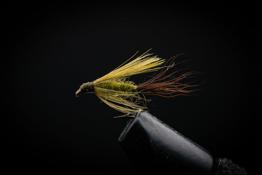 Olive Midge Wet