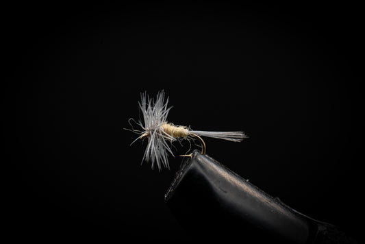 Pale Morning Dun Midge