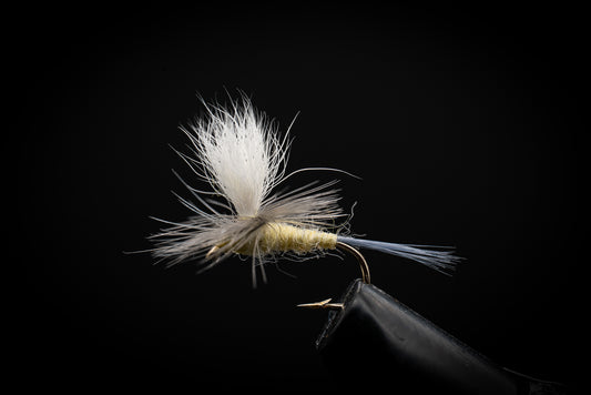 Pale Morning Dun Parachute
