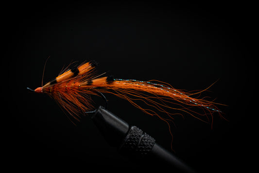 Practitioner Orange
