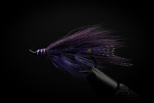Practitioner Purple