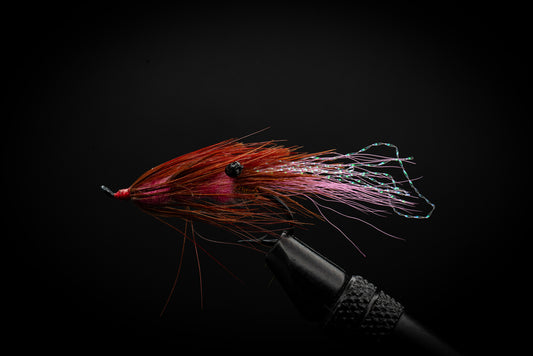 Prawn Pink