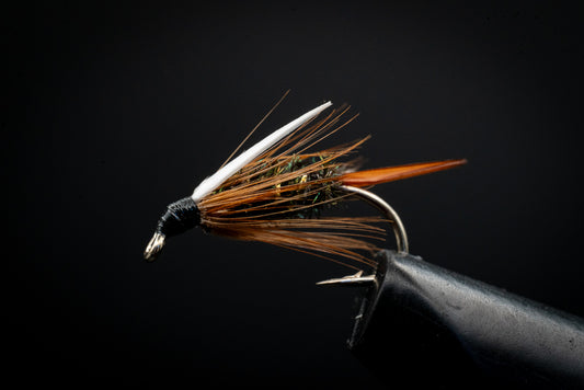 Prince Nymph