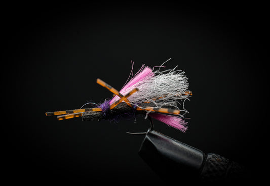 Hi-Viz Stubby Chubby Purple