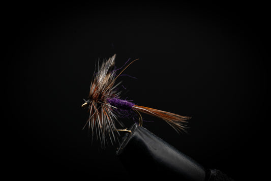 Purple Haze