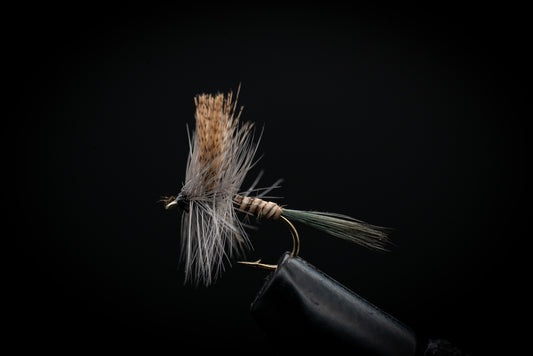 Quill Gordon
