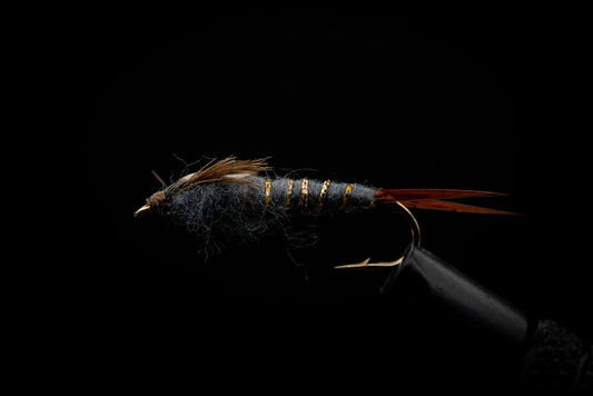 Ribbed Nymph