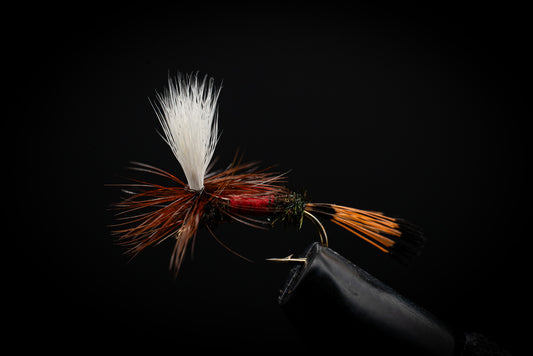 Royal Coachman Parachute