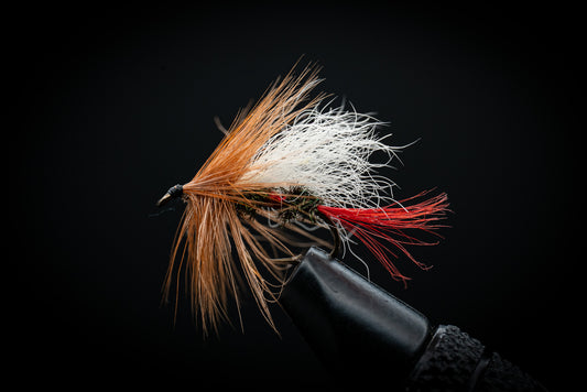 Royal Coachman Trude