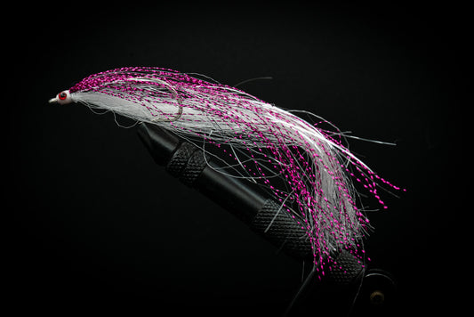 Sardine Magenta