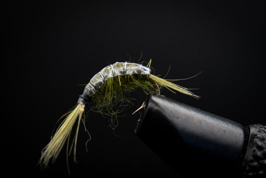 Scud Olive