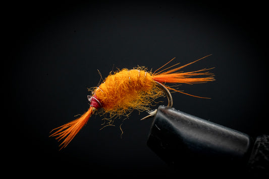 Scud Orange