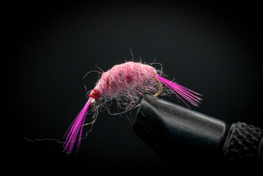 Scud Pink
