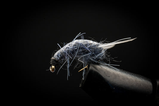 Sow Bug