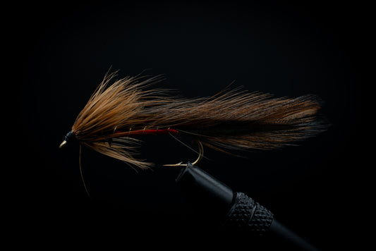 Spruce Dark