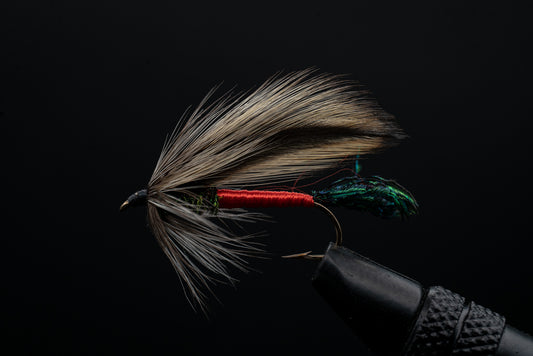 Spruce Light