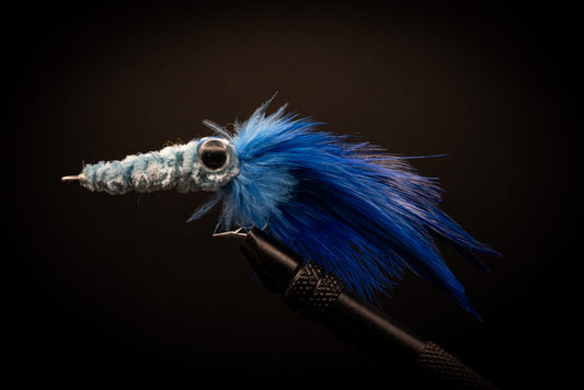 Squid Blue