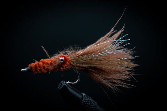 Squid Brown