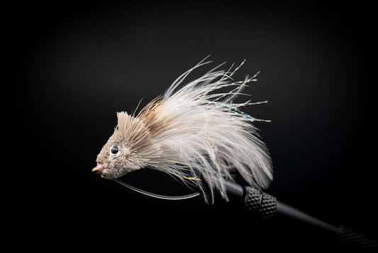 Swimming Baitfish Shad