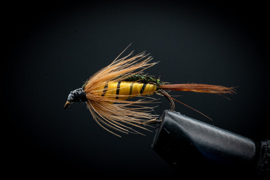 Tellico Gold